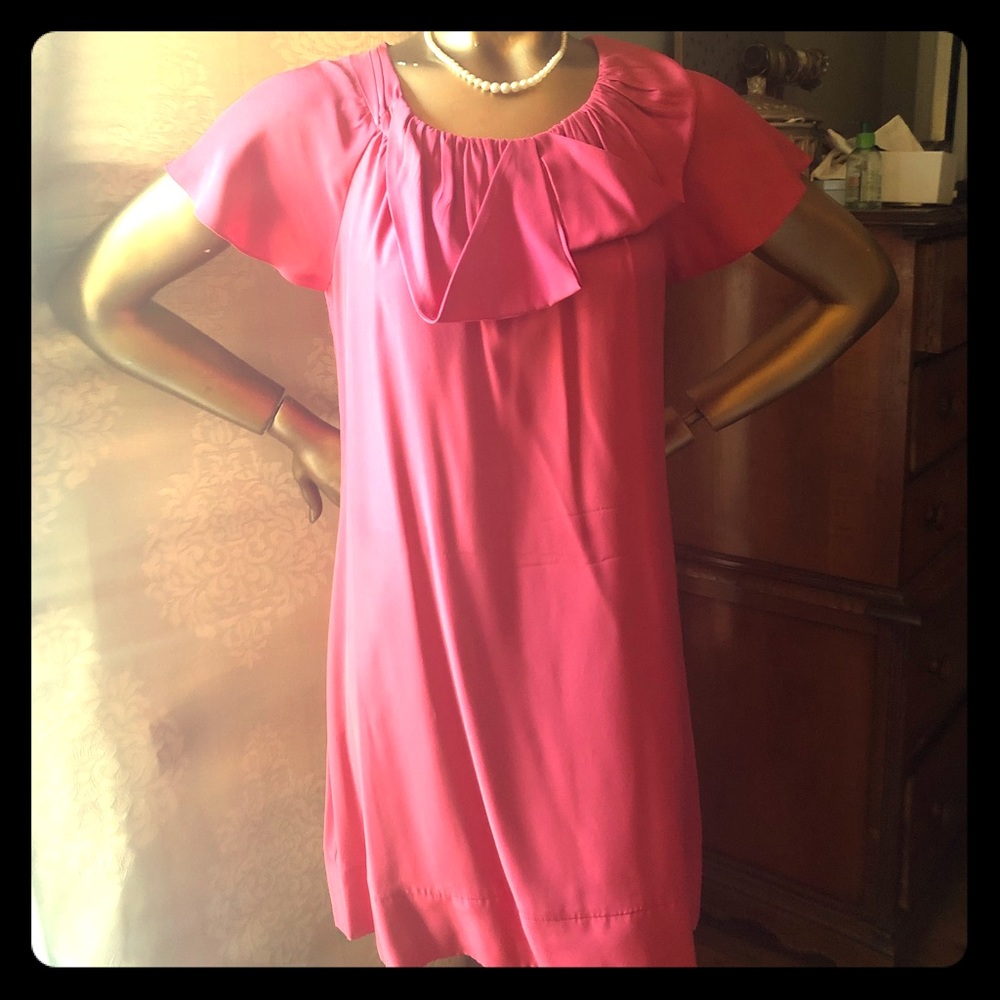 Banana Republic- Silk Pink Dress